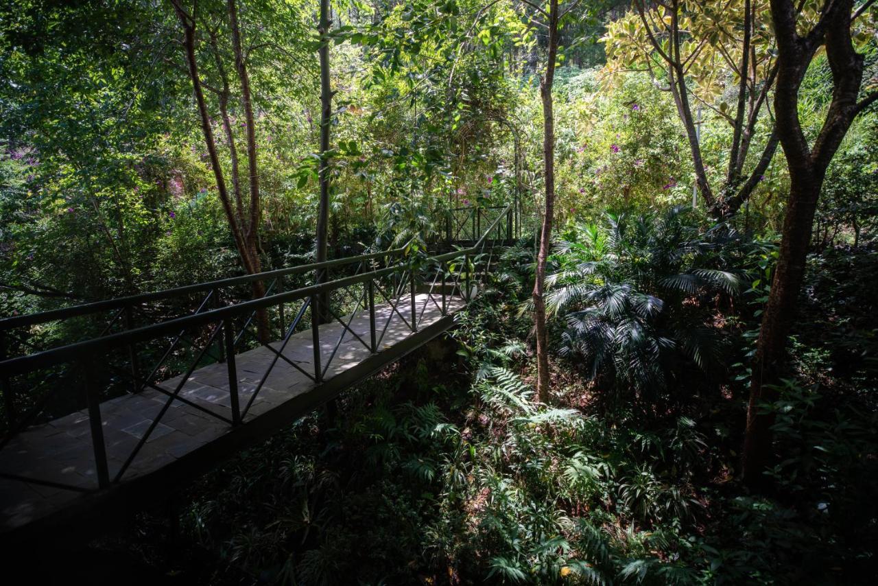 دالات Zen Cafe Lakeside المظهر الخارجي الصورة
