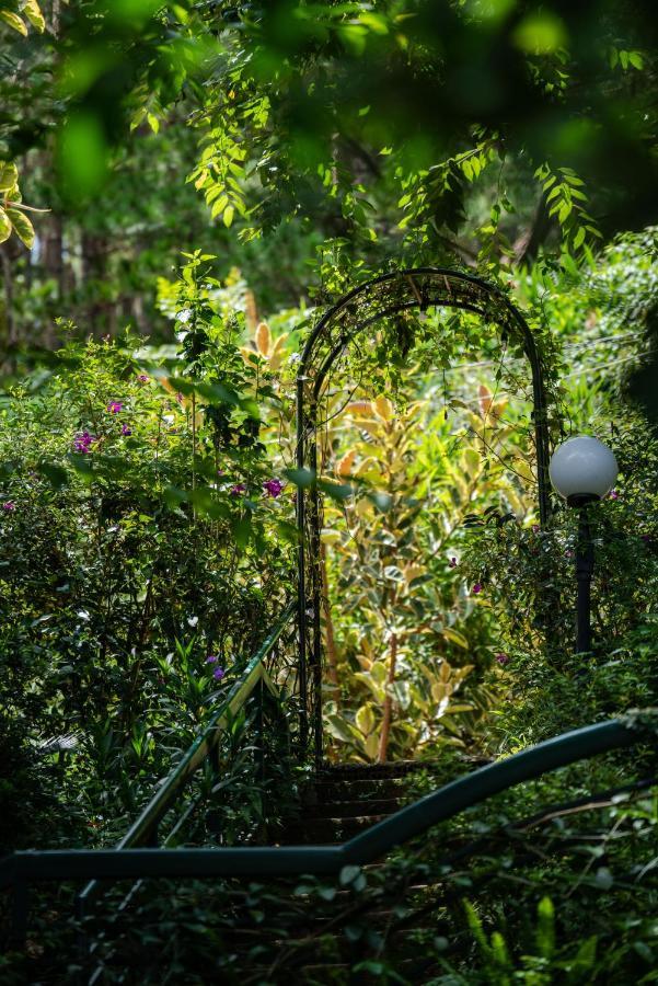 دالات Zen Cafe Lakeside المظهر الخارجي الصورة